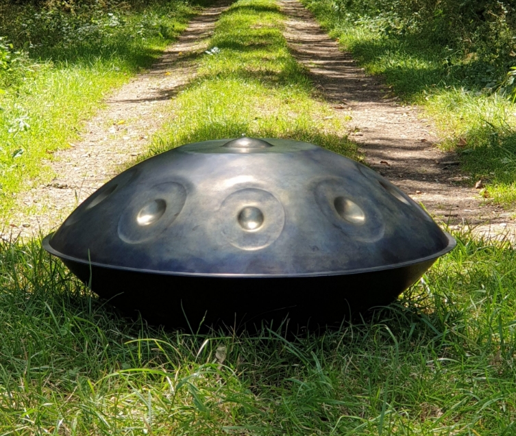 Handpan dans la forêt